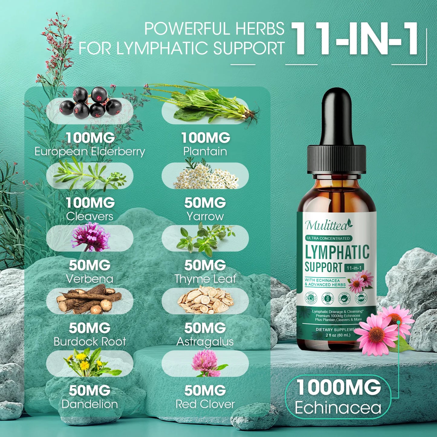 Mulittea lymph drops support the lymphatic system with echinacea detoxification and cleansing Immune support