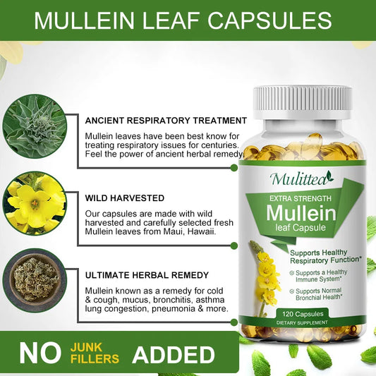 Natural Mullein Leaf Capsules Herbal Supplement for Lung Cleanse Helps Healthy Respiratory Function & Mucous Membranes