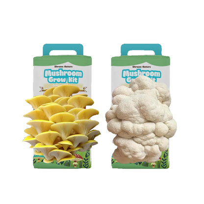 Shroom Nature3.5/IBS Oyster Mushroom Growing Kit, Indoor Mushroom Growing Kit, HarvestEdible In 10 Days, Gardening Gifts