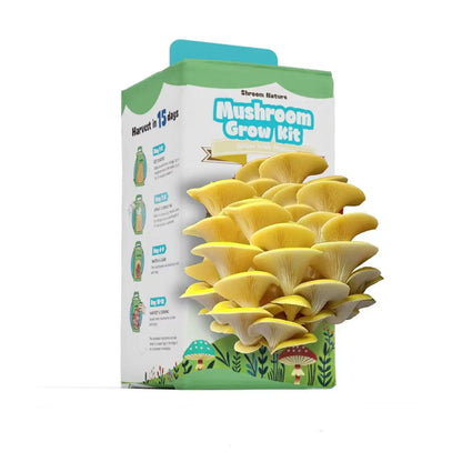 Shroom Nature3.5/IBS Oyster Mushroom Growing Kit, Indoor Mushroom Growing Kit, HarvestEdible In 10 Days, Gardening Gifts