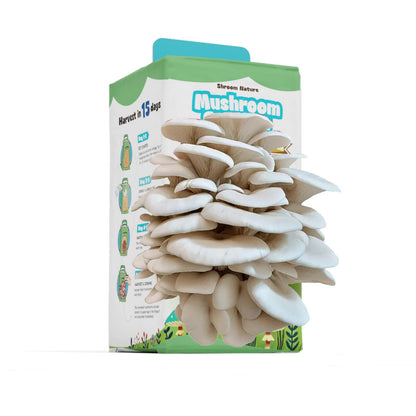 Shroom Nature3.5/IBS Oyster Mushroom Growing Kit, Indoor Mushroom Growing Kit, HarvestEdible In 10 Days, Gardening Gifts