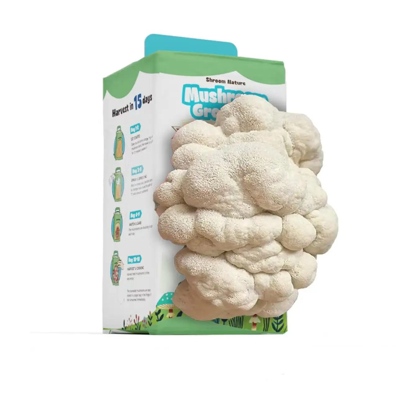 Shroom Nature3.5/IBS Oyster Mushroom Growing Kit, Indoor Mushroom Growing Kit, HarvestEdible In 10 Days, Gardening Gifts