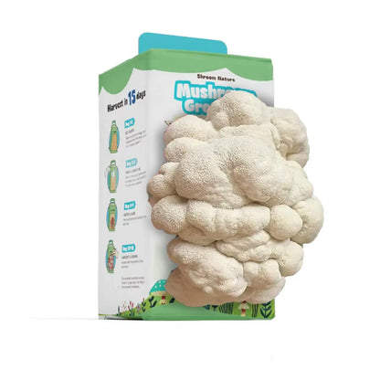 Shroom Nature3.5/IBS Oyster Mushroom Growing Kit, Indoor Mushroom Growing Kit, HarvestEdible In 10 Days, Gardening Gifts
